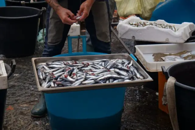 Piscaria Mercato del Pesce