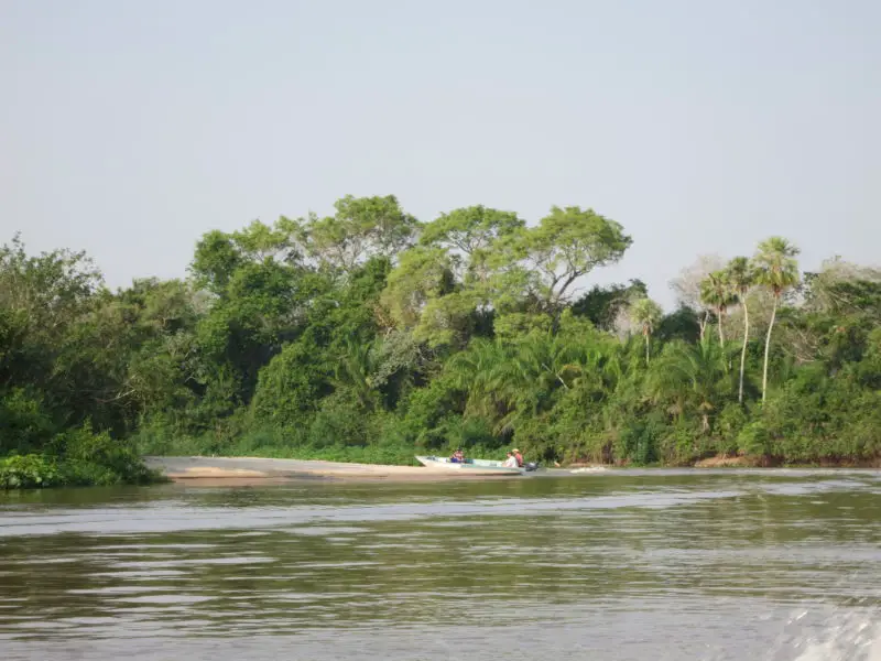 Parque Estadual do Pantanal do Rio Negro