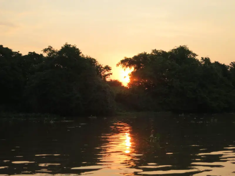 Parque Estadual do Pantanal do Rio Negro