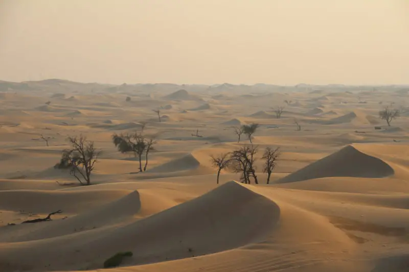 Abu Dhabi Desert